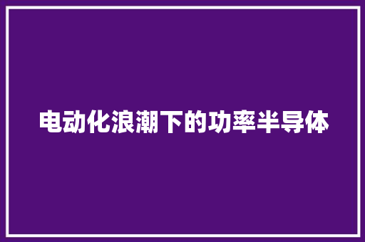 电动化浪潮下的功率半导体 电动化浪潮下的功率半导体 智能科技