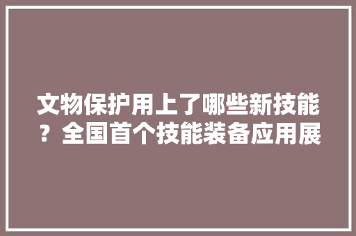 文物保护用上了哪些新技能？全国首个技能装备应用展来啦！ 文物保护用上了哪些新技能？全国首个技能装备应用展来啦！ 智能科技