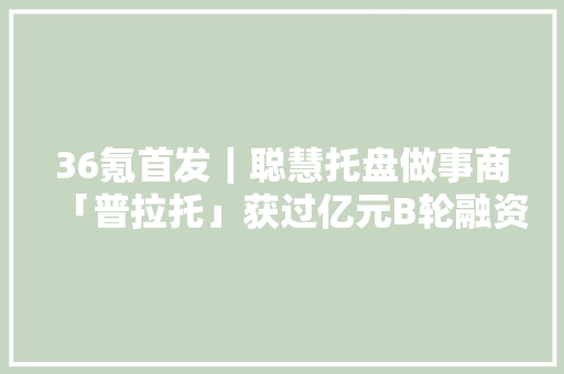 36氪首发｜聪慧托盘做事商「普拉托」获过亿元B轮融资累计投入托盘300万片
