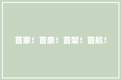 首家！首条！首架！首航！ 首家！首条！首架！首航！ 智能家居