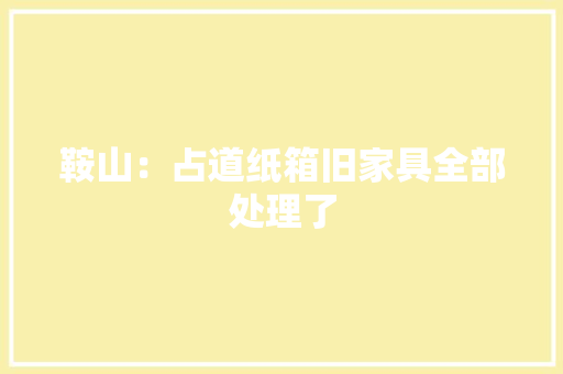 鞍山：占道纸箱旧家具全部处理了