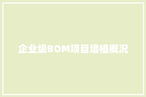 企业级BOM项目培植概况