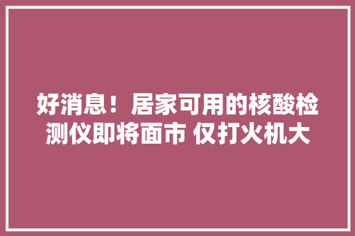 好消息！居家可用的核酸检测仪即将面市 仅打火机大年夜小