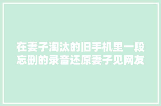 在妻子淘汰的旧手机里一段忘删的录音还原妻子见网友时的情景