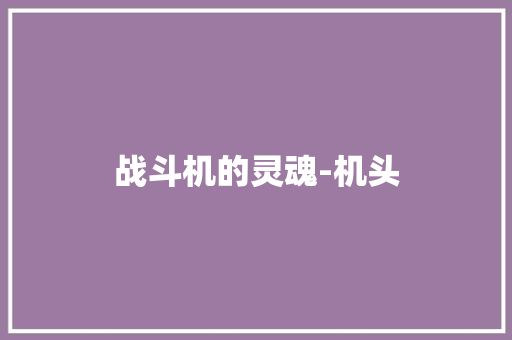 战斗机的灵魂-机头