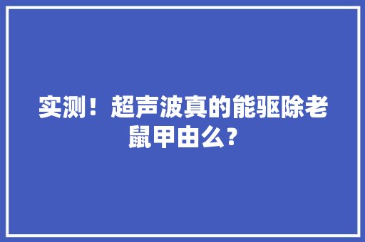 实测！超声波真的能驱除老鼠甲由么？