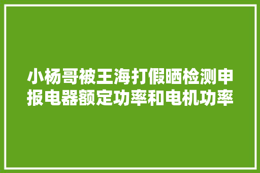 小杨哥被王海打假晒检测申报电器额定功率和电机功率啥差异