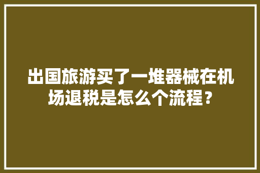 出国旅游买了一堆器械在机场退税是怎么个流程？ 出国旅游买了一堆器械在机场退税是怎么个流程？ 人工智能