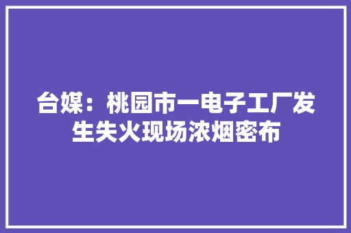 台媒：桃园市一电子工厂发生失火现场浓烟密布 台媒：桃园市一电子工厂发生失火现场浓烟密布 智能科技