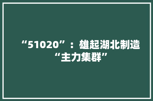 “51020”：雄起湖北制造“主力集群” “51020”：雄起湖北制造“主力集群” 智能家居
