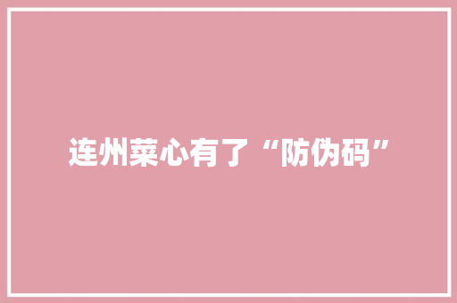 连州菜心有了“防伪码”