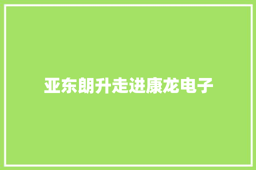 亚东朗升走进康龙电子