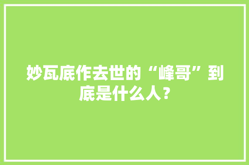 妙瓦底作去世的“峰哥”到底是什么人？