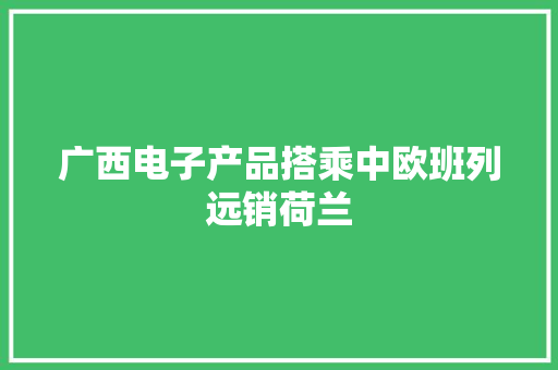广西电子产品搭乘中欧班列远销荷兰