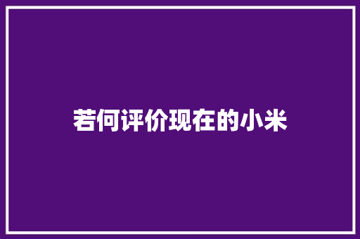 若何评价现在的小米