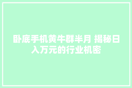 卧底手机黄牛群半月 揭秘日入万元的行业机密
