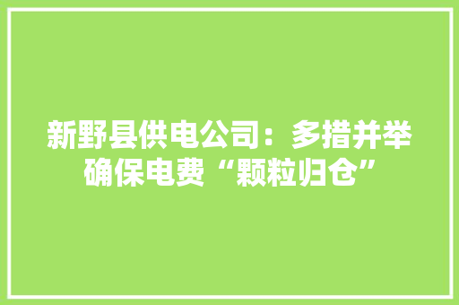 新野县供电公司：多措并举确保电费“颗粒归仓”
