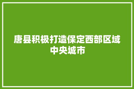 唐县积极打造保定西部区域中央城市