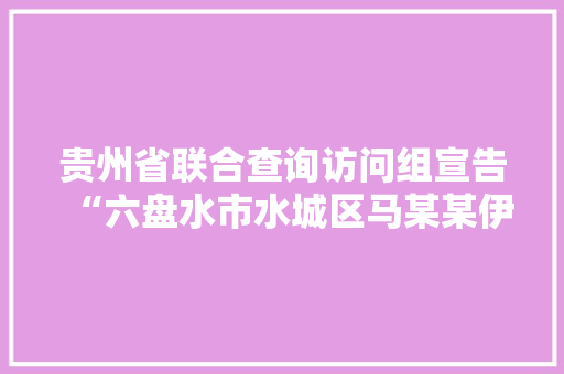 贵州省联合查询访问组宣告“六盘水市水城区马某某伊案”情况传递