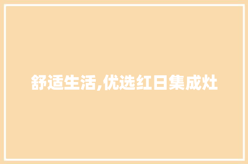 舒适生活,优选红日集成灶