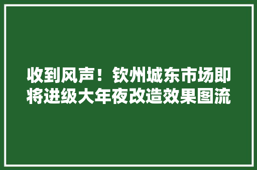 收到风声！钦州城东市场即将进级大年夜改造效果图流出 收到风声！钦州城东市场即将进级大年夜改造效果图流出 智能家居