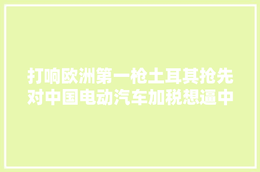 打响欧洲第一枪土耳其抢先对中国电动汽车加税想逼中企去投资 打响欧洲第一枪土耳其抢先对中国电动汽车加税想逼中企去投资 智能家居
