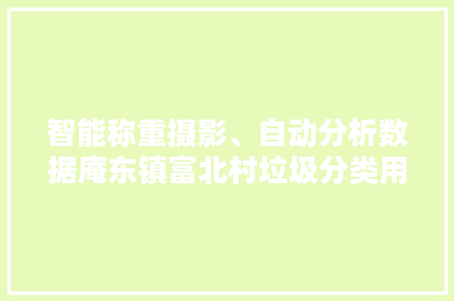 智能称重摄影、自动分析数据庵东镇富北村垃圾分类用上“黑科技” 智能称重摄影、自动分析数据庵东镇富北村垃圾分类用上“黑科技” 人工智能