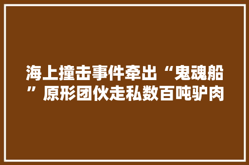 海上撞击事件牵出“鬼魂船”原形团伙走私数百吨驴肉猪蹄获刑 海上撞击事件牵出“鬼魂船”原形团伙走私数百吨驴肉猪蹄获刑 智能家居