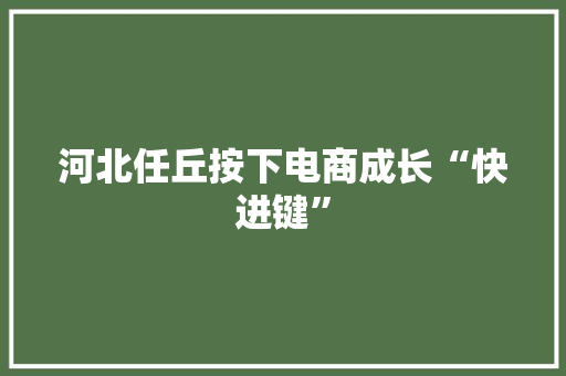 河北任丘按下电商成长“快进键”