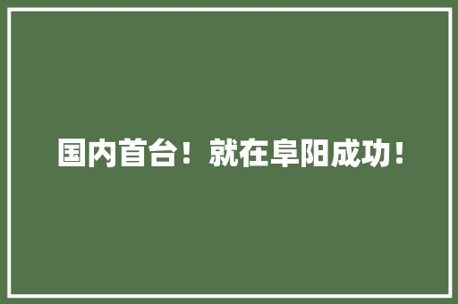 国内首台！就在阜阳成功！