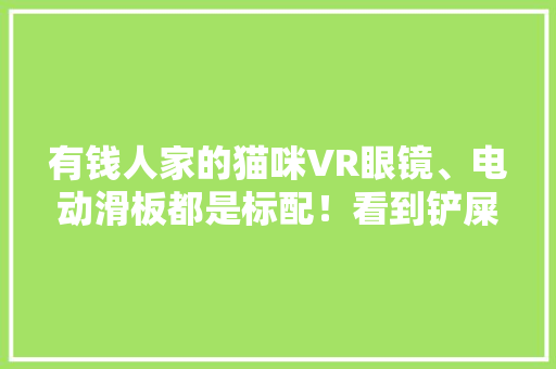有钱人家的猫咪VR眼镜、电动滑板都是标配！看到铲屎机柠檬了 有钱人家的猫咪VR眼镜、电动滑板都是标配！看到铲屎机柠檬了 智能家居