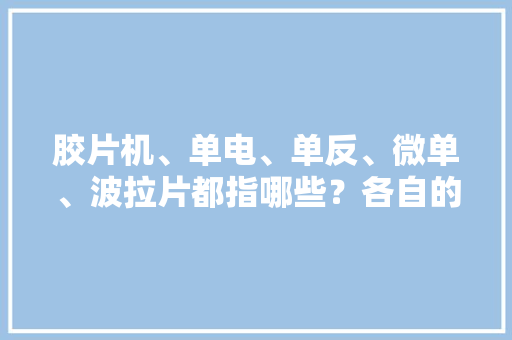 胶片机、单电、单反、微单、波拉片都指哪些？各自的差异是什么？