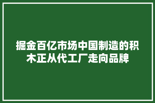 掘金百亿市场中国制造的积木正从代工厂走向品牌