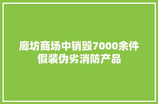 廊坊商场中销毁7000余件假装伪劣消防产品