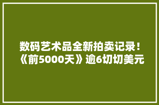 数码艺术品全新拍卖记录！《前5000天》逾6切切美元成交