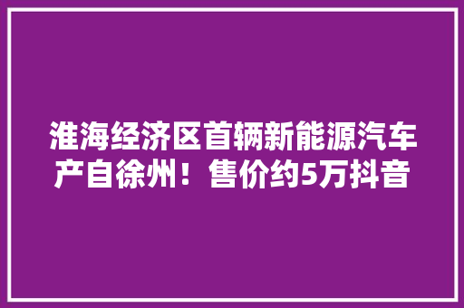 淮海经济区首辆新能源汽车产自徐州！售价约5万抖音上火了
