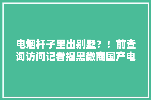 电烟杆子里出别墅？！前查询访问记者揭黑微商国产电子烟