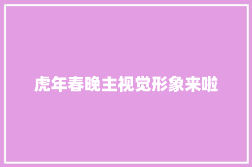 虎年春晚主视觉形象来啦