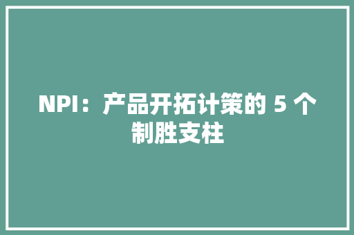 NPI：产品开拓计策的 5 个制胜支柱 NPI：产品开拓计策的 5 个制胜支柱 智能科技