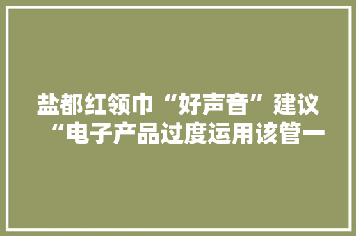 盐都红领巾“好声音”建议“电子产品过度运用该管一管啦！” 盐都红领巾“好声音”建议“电子产品过度运用该管一管啦！” 智能家居