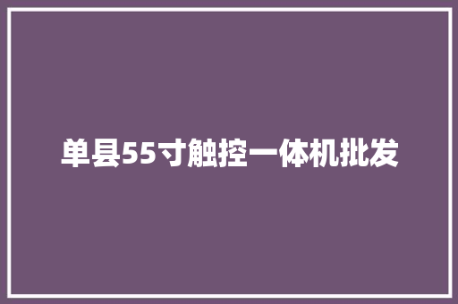 单县55寸触控一体机批发 单县55寸触控一体机批发 智能家居