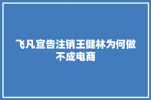 飞凡宣告注销王健林为何做不成电商 飞凡宣告注销王健林为何做不成电商 智能科技