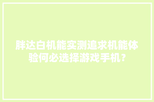 胖达白机能实测追求机能体验何必选择游戏手机？