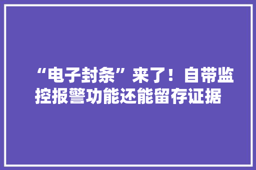 “电子封条”来了！自带监控报警功能还能留存证据