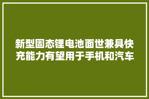 新型固态锂电池面世兼具快充能力有望用于手机和汽车等