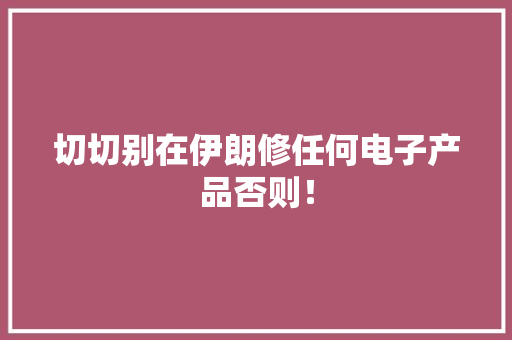 切切别在伊朗修任何电子产品否则！