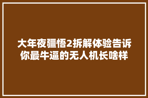 大年夜疆悟2拆解体验告诉你最牛逼的无人机长啥样