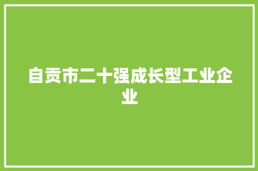 自贡市二十强成长型工业企业