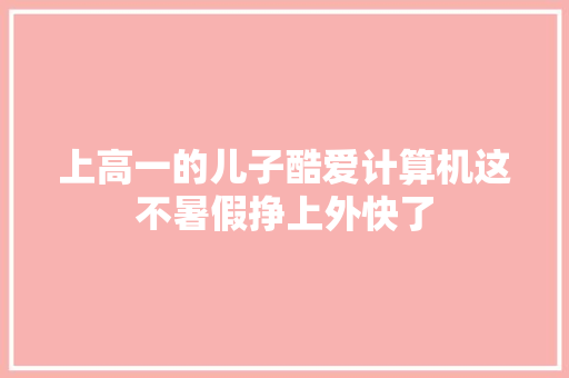 上高一的儿子酷爱计算机这不暑假挣上外快了