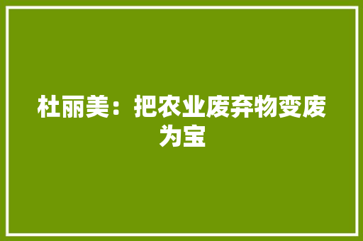 杜丽美：把农业废弃物变废为宝